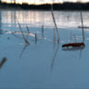 Meet your Posher, Timothy